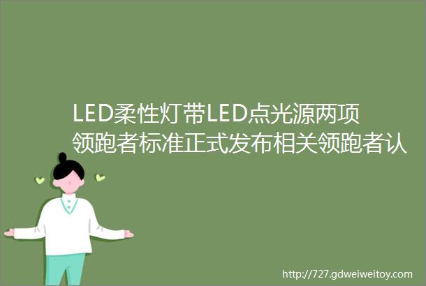 LED柔性灯带LED点光源两项领跑者标准正式发布相关领跑者认证项目即将启动