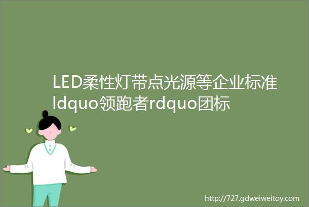 LED柔性灯带点光源等企业标准ldquo领跑者rdquo团标编制正式启动